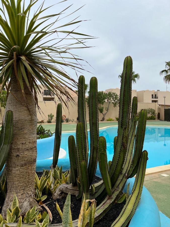 Surf & Chill Bungalow 69, Quiet Green Oasis With Community Swimmingpool Parque Holandes Exterior photo